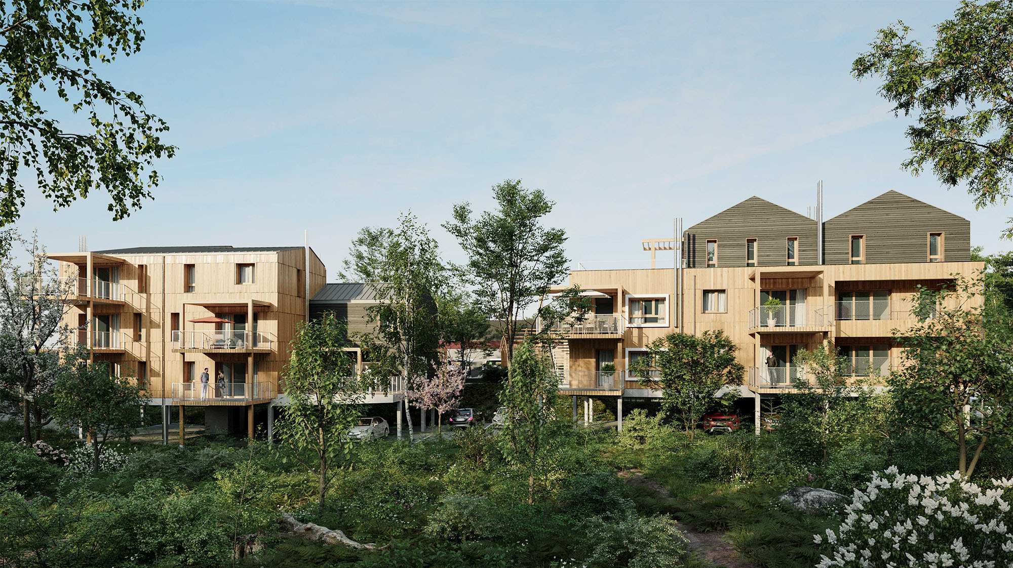 Bâtiments neufs sur pilotis avec bardage bois avec vue sur la forêt