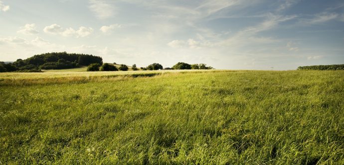 Terrains à bâtir sur le lotissement de Saint Pandelon Proche de Dax