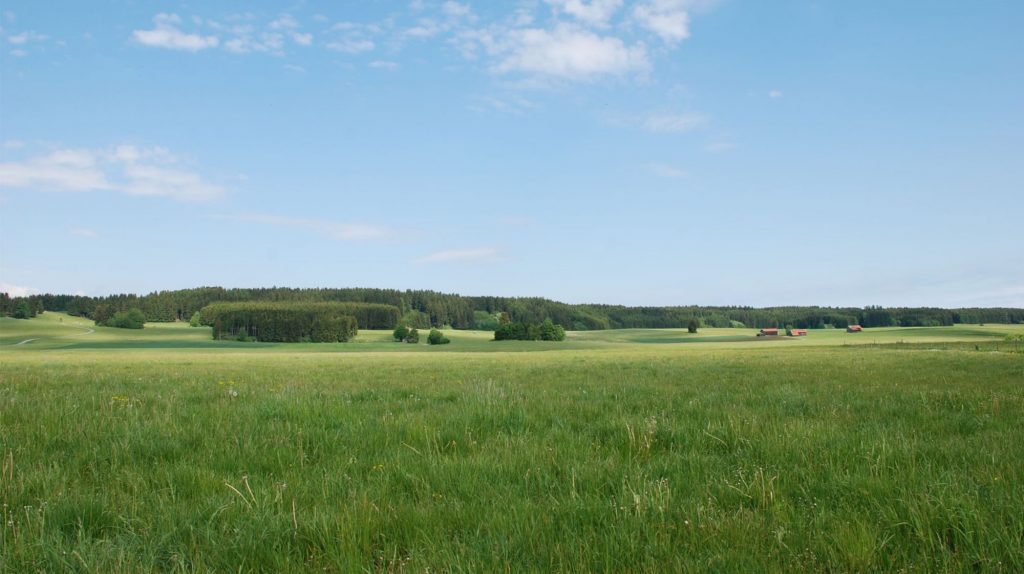 Vaste terrain verdoyant pour future construction de maisons neuves