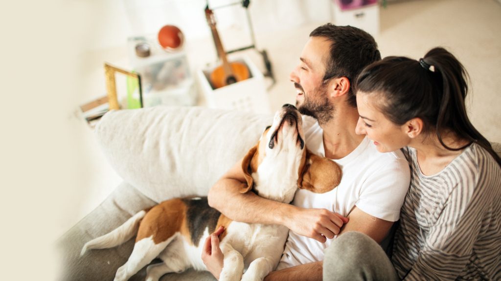 un couple heureux avec un chien dans leur logement neuf