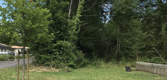 Terrains à bâtir sur le lotissement de Saint Saint-Paul-lès-Dax Proche de Dax