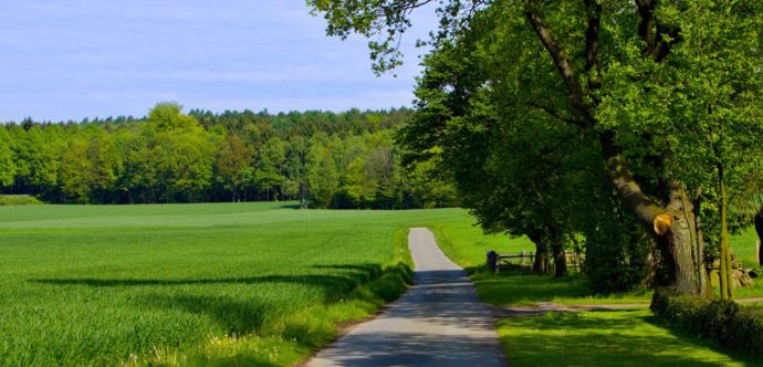 Terrain à bâtir avec route à proximité