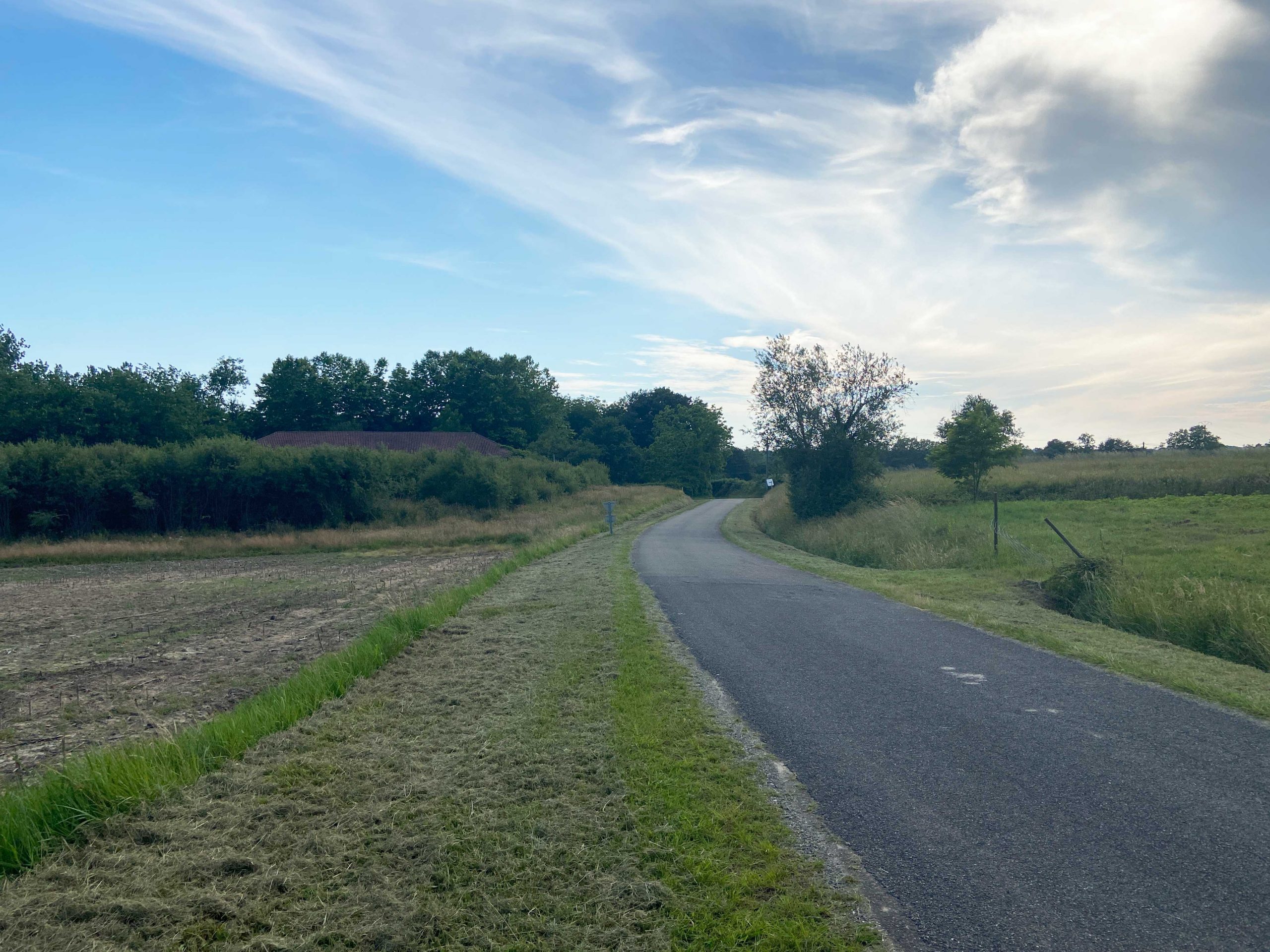 Route de campagne dans un environnement verdoyant