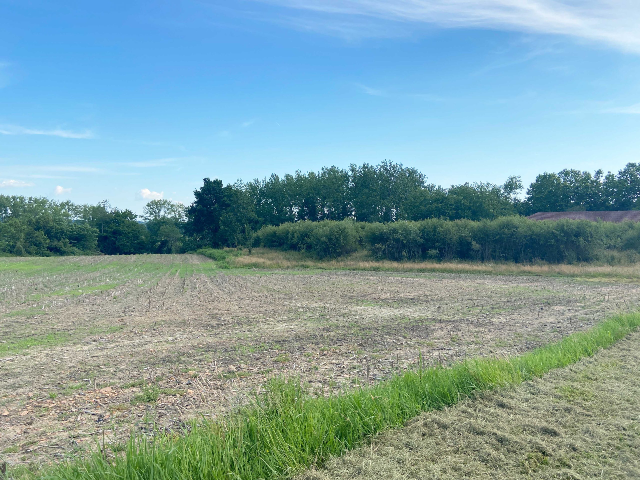 Un vaste terrain à bâtir entouré de végétations