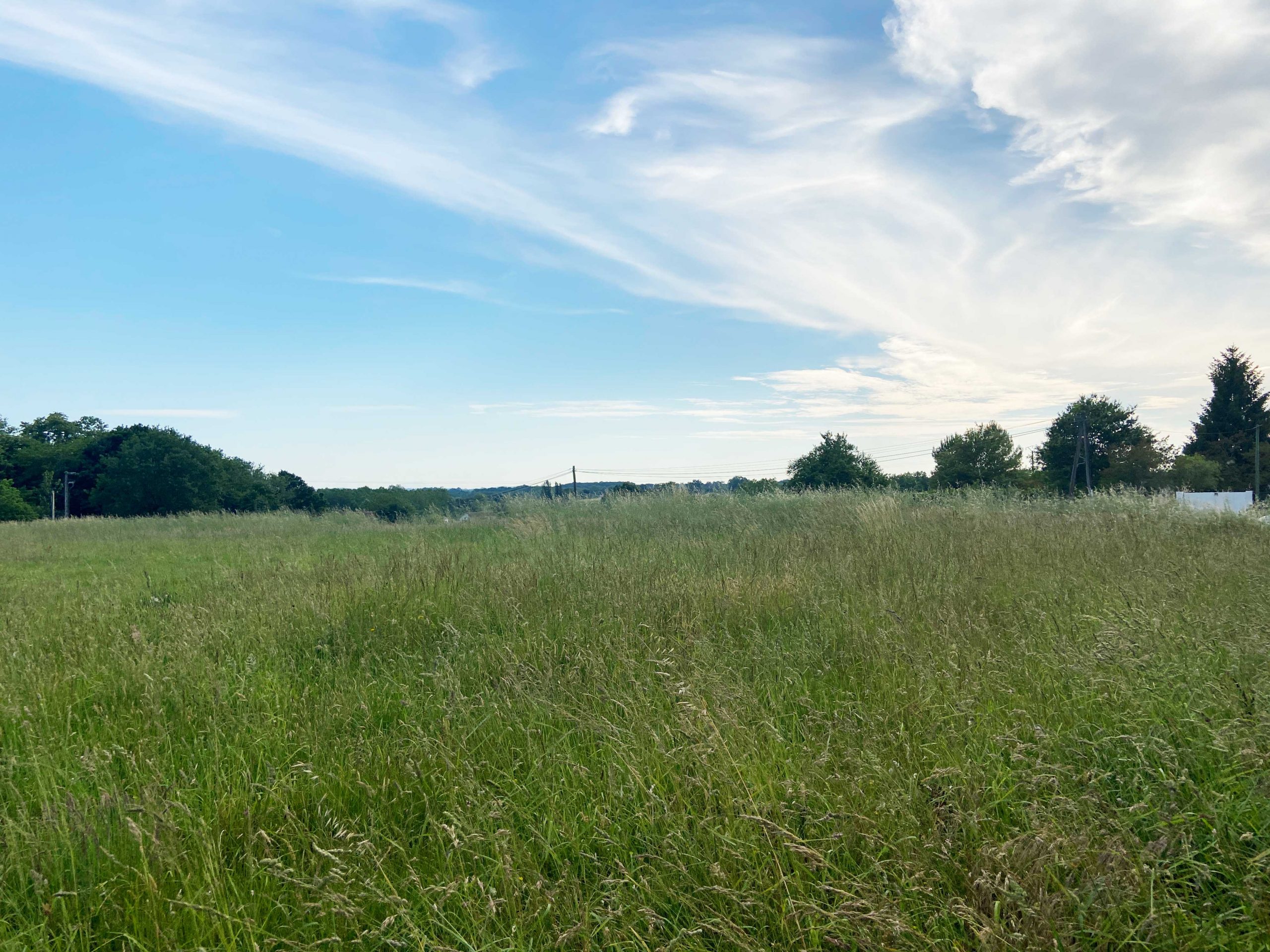 Vaste terrain nu dans un environnement de campagne