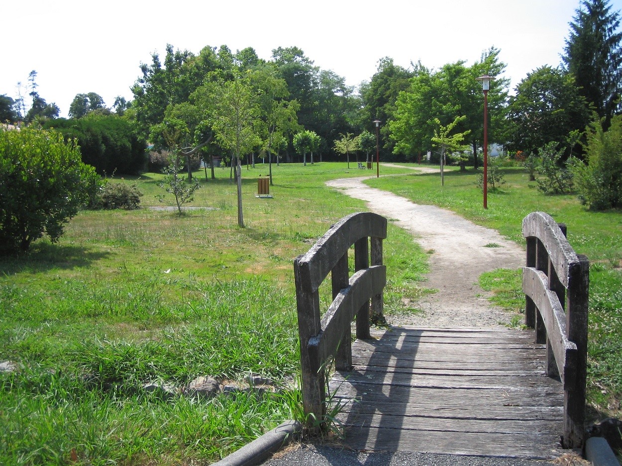 ponton en bois donnant accès à un parc public